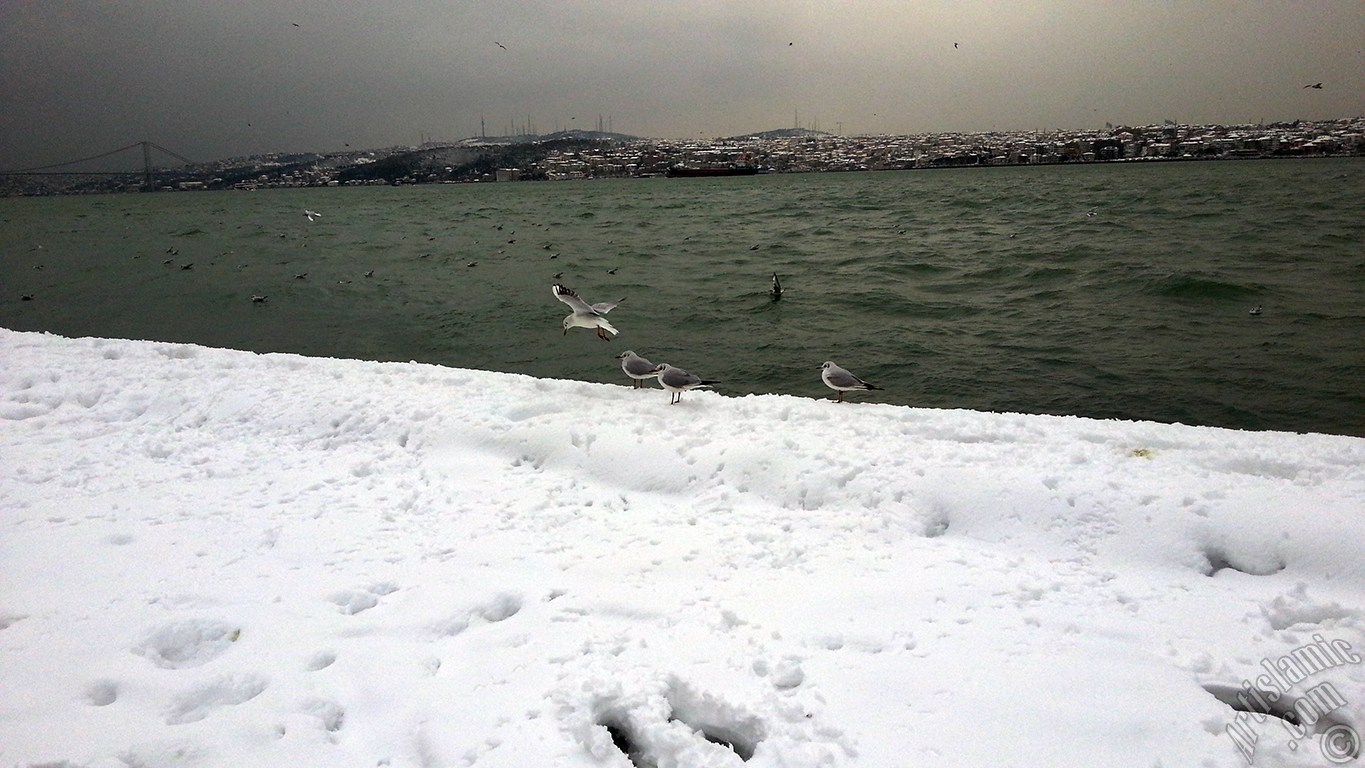 zel ekim kar ve k fotoraflarmz: stanbul`un Fatih, Zeyrek, Perembe Pazar, Eminn, Karaky, Cihangir, Fndkl ve Kabata Semtlerinden.
